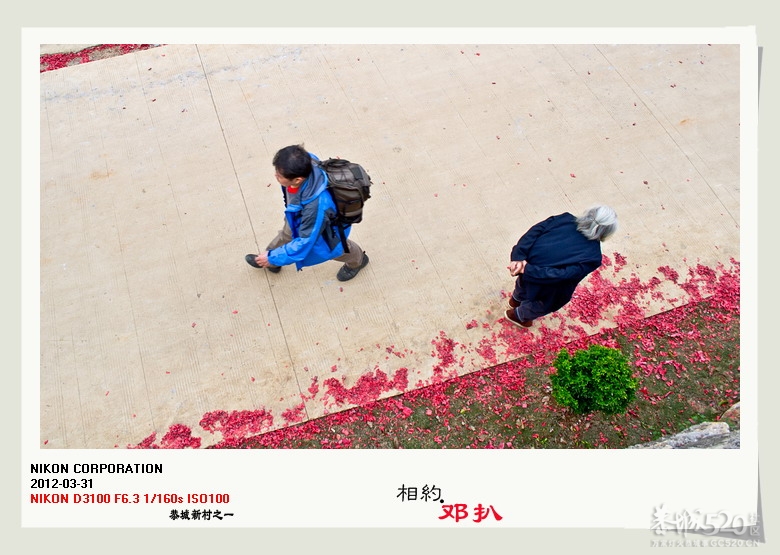 阳春三月，相约邓扒.580 / 作者:講不醜 / 帖子ID:13345