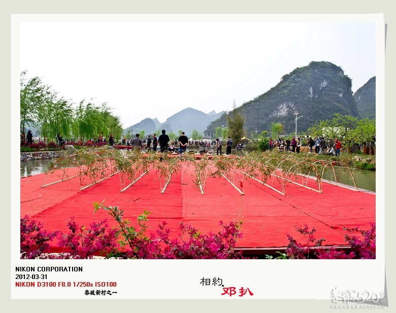阳春三月，相约邓扒.104 / 作者:講不醜 / 帖子ID:13345