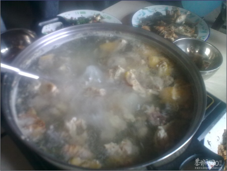 踩飞咯990 / 作者:麻蛋 / 帖子ID:13452