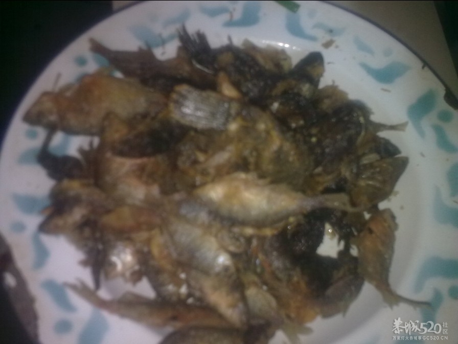 踩飞咯432 / 作者:麻蛋 / 帖子ID:13452