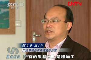 恭城又上焦点访谈了，丰收却遇减“收”869 / 作者:桂鱼 / 帖子ID:13652