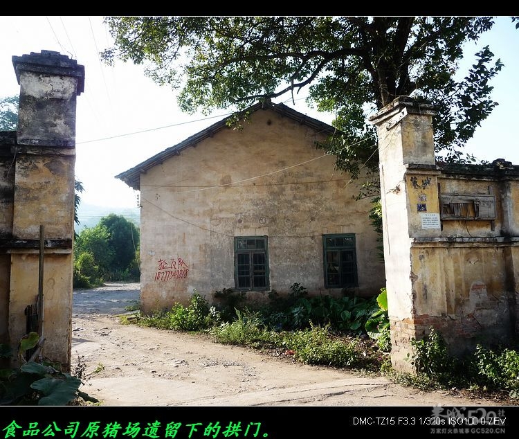 我县文革中遗留下的拱门。131 / 作者:平安大叔 / 帖子ID:13653