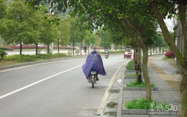 车祸,场面血腥.胆小勿入!!!957 / 作者:穷人 / 帖子ID:13683