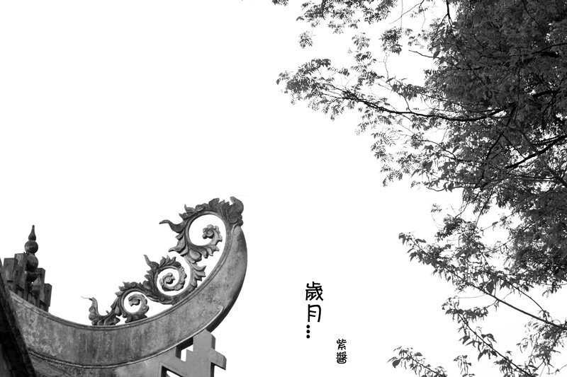 [春]岁月（黑白）919 / 作者:小紫 / 帖子ID:13700