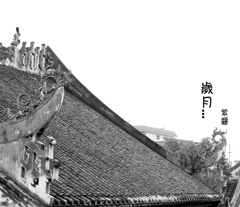 [春]岁月（黑白）636 / 作者:小紫 / 帖子ID:13700