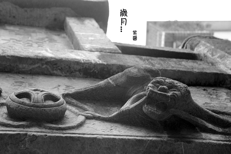 [春]岁月（黑白）467 / 作者:小紫 / 帖子ID:13700