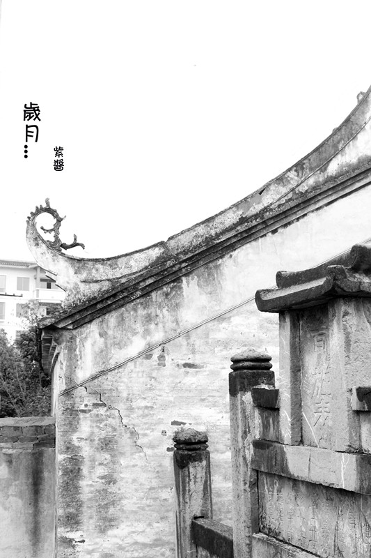 [春]岁月（黑白）374 / 作者:小紫 / 帖子ID:13700