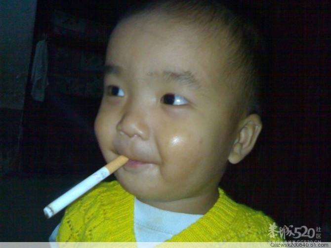 这个芙蓉王烧起有瘾呀..17 / 作者:ゞ↘oElla / 帖子ID:13827