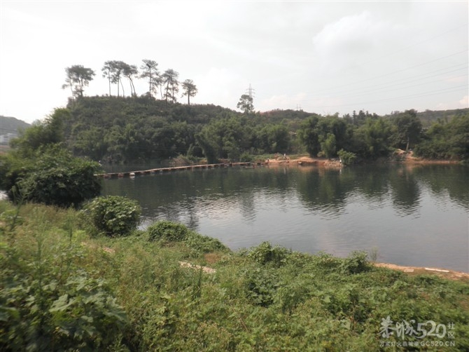 无聊时...记录一下恭城美景、132 / 作者:ゞ↘oElla / 帖子ID:13866