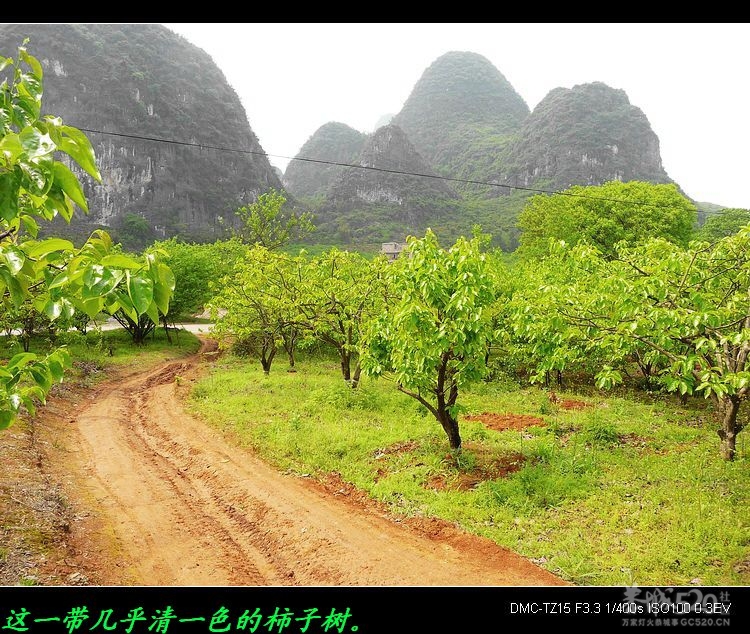 山狮角、枧头、莲花、甑山一游。52 / 作者:平安大叔 / 帖子ID:13953