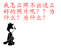 恭城的D800497 / 作者:大鸟 / 帖子ID:13932