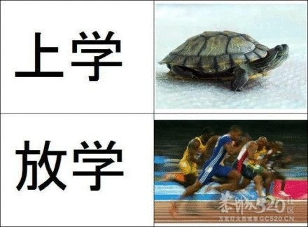 想想以前上学是的我们...有过这样的童鞋，举手啊~~~212 / 作者:ゞ↘oElla / 帖子ID:14001