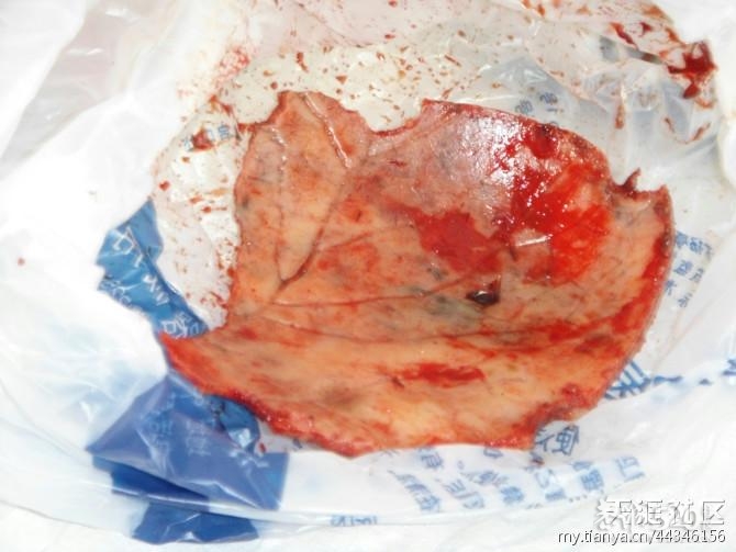 [桂林阳朔]农民工讨薪被打成植物人，救救我的父亲，谁能为我家主持公道？694 / 作者:受伤的燕子 / 帖子ID:14027