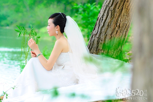 幸福公社客片【XIA&amp;HUANG】537 / 作者:幸福公社 / 帖子ID:14405