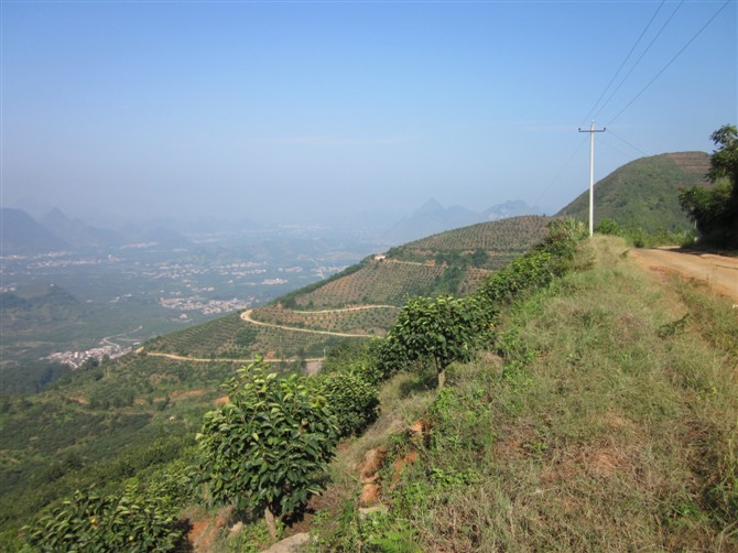 美丽的风景698 / 作者:我属于幸福 / 帖子ID:15482