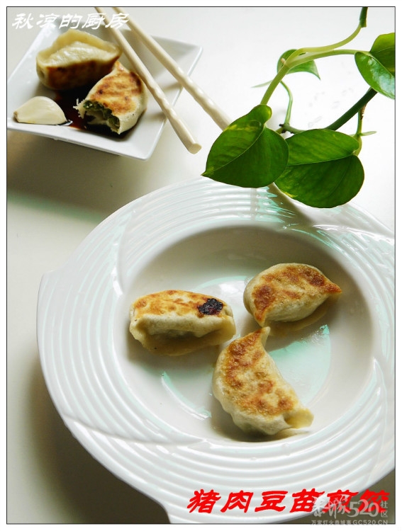 清爽不腻的猪肉豆苗煎饺333 / 作者:翠峰紫阳 / 帖子ID:15921