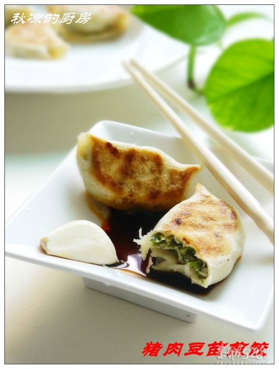 清爽不腻的猪肉豆苗煎饺789 / 作者:翠峰紫阳 / 帖子ID:15921