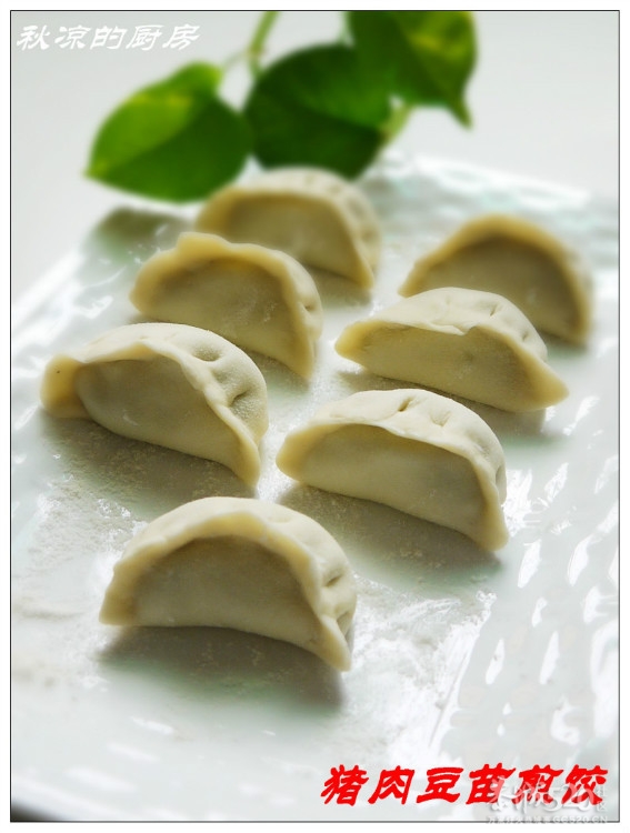 清爽不腻的猪肉豆苗煎饺93 / 作者:翠峰紫阳 / 帖子ID:15921