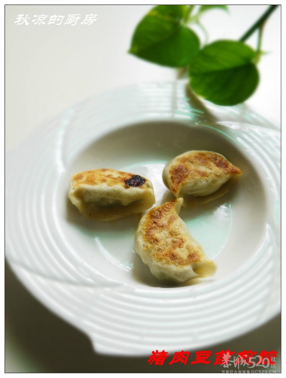 清爽不腻的猪肉豆苗煎饺933 / 作者:翠峰紫阳 / 帖子ID:15921