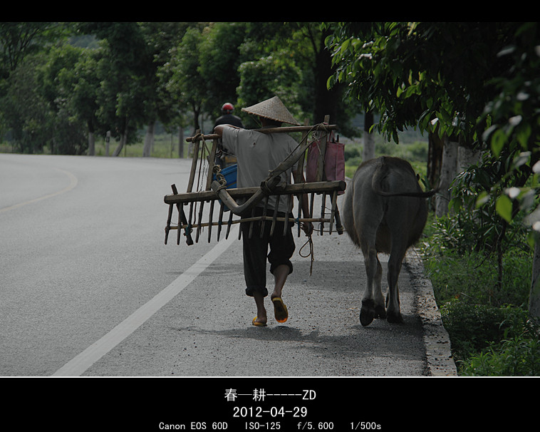 春耕974 / 作者:其修远 / 帖子ID:15947