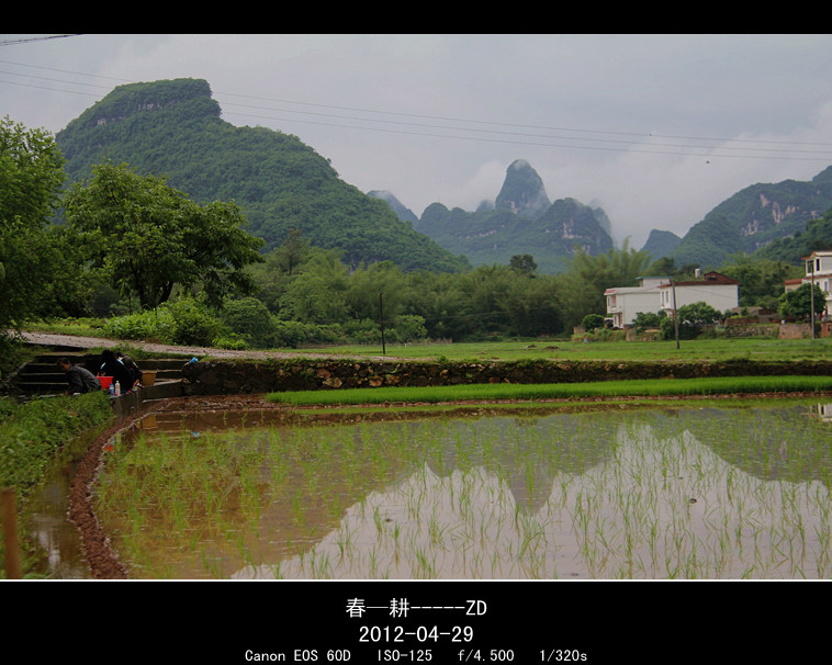春耕639 / 作者:其修远 / 帖子ID:15947