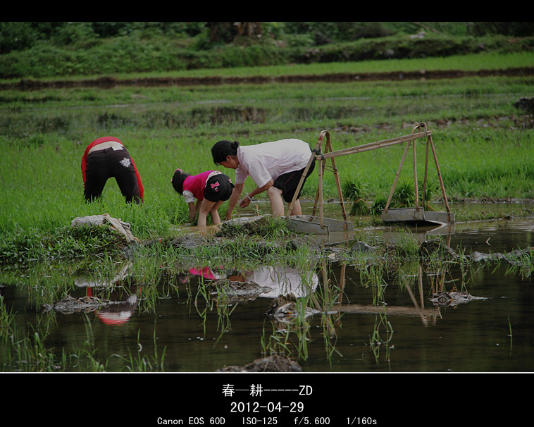 春耕523 / 作者:其修远 / 帖子ID:15947