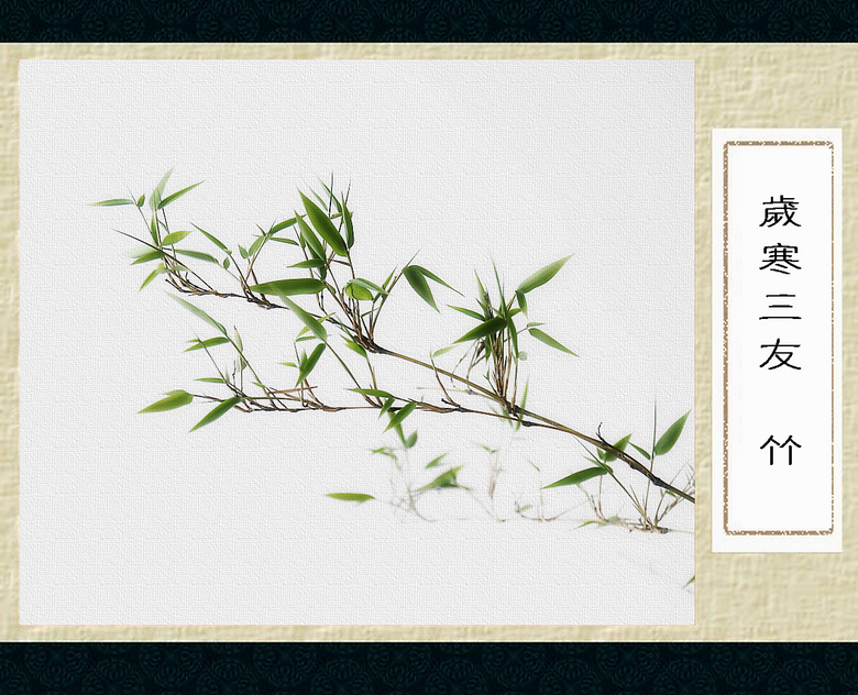 随拍---三角梅、竹709 / 作者:探路者 / 帖子ID:15994