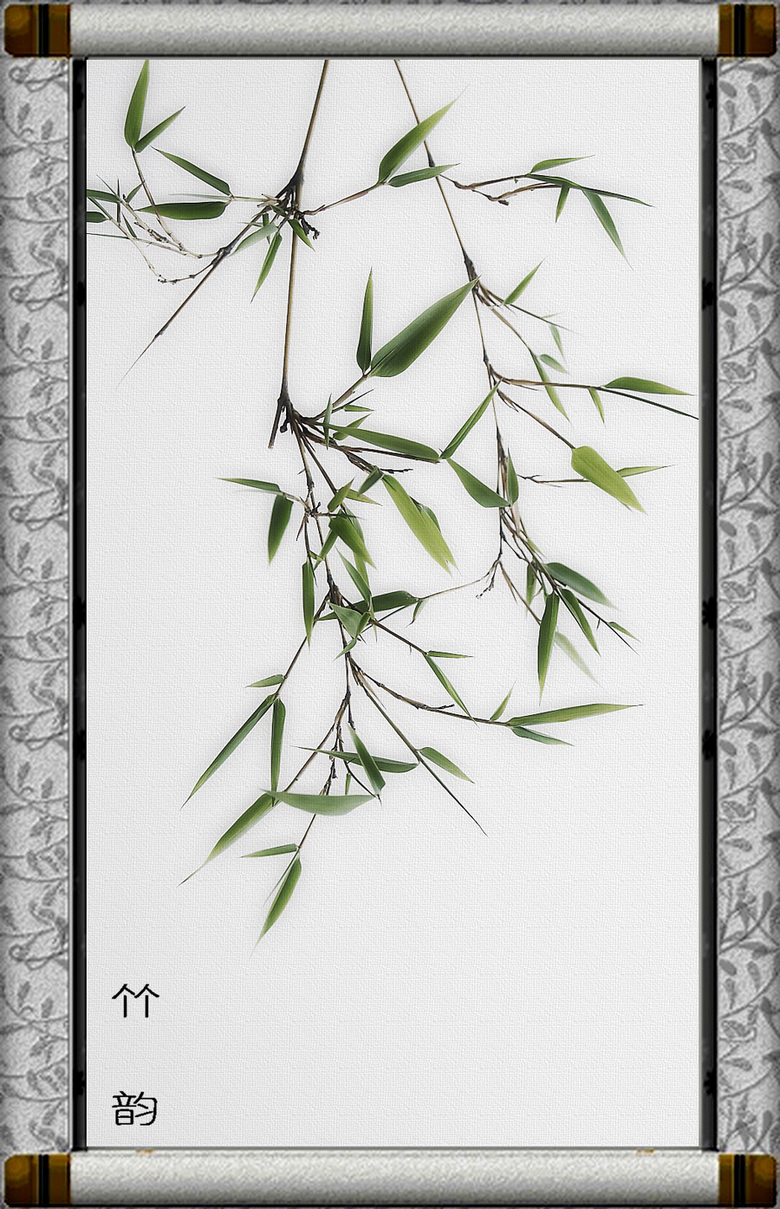 随拍---三角梅、竹195 / 作者:探路者 / 帖子ID:15994
