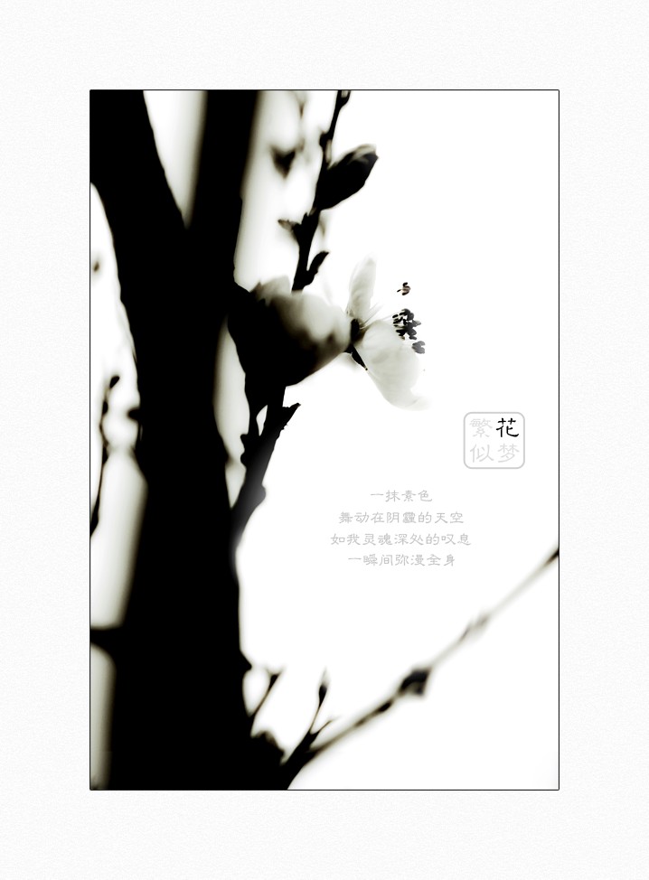 繁花似梦（三）726 / 作者:195 / 帖子ID:16024