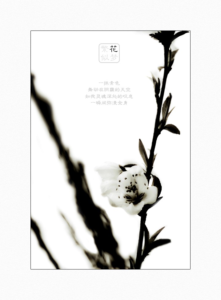 繁花似梦（三）881 / 作者:195 / 帖子ID:16024