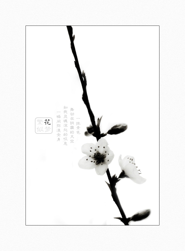 繁花似梦（三）903 / 作者:195 / 帖子ID:16024