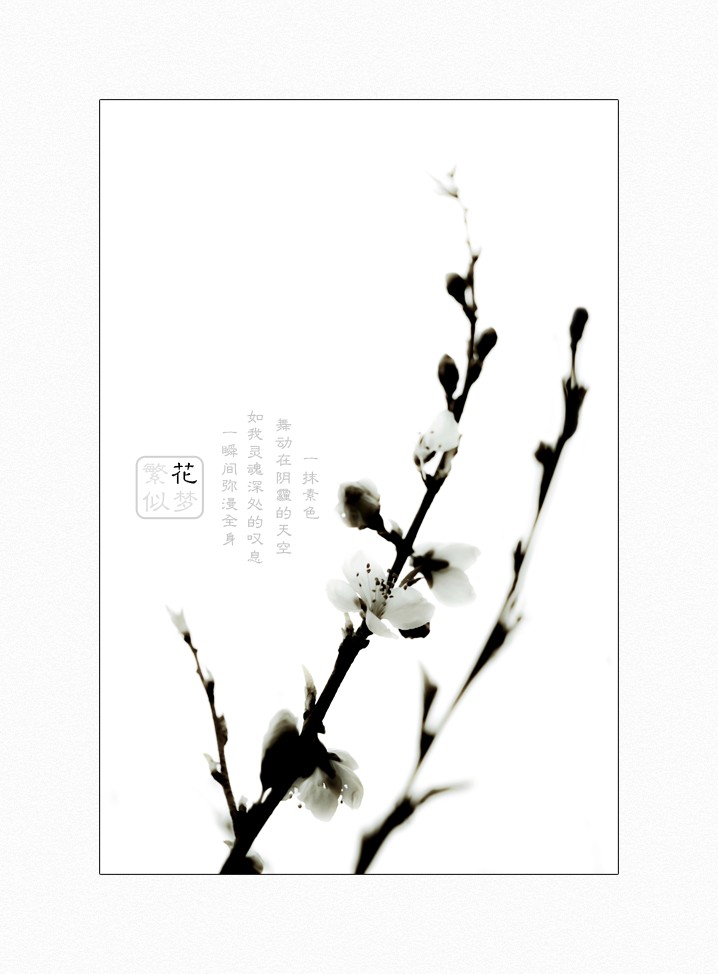 繁花似梦（三）147 / 作者:195 / 帖子ID:16024