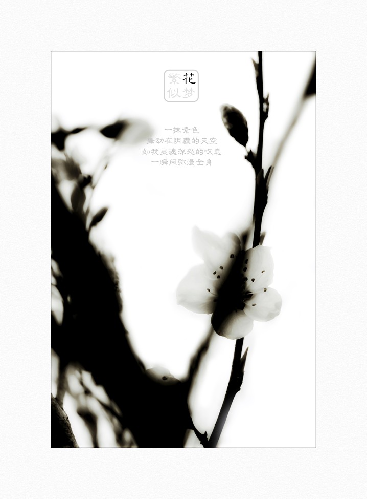 繁花似梦（三）864 / 作者:195 / 帖子ID:16024