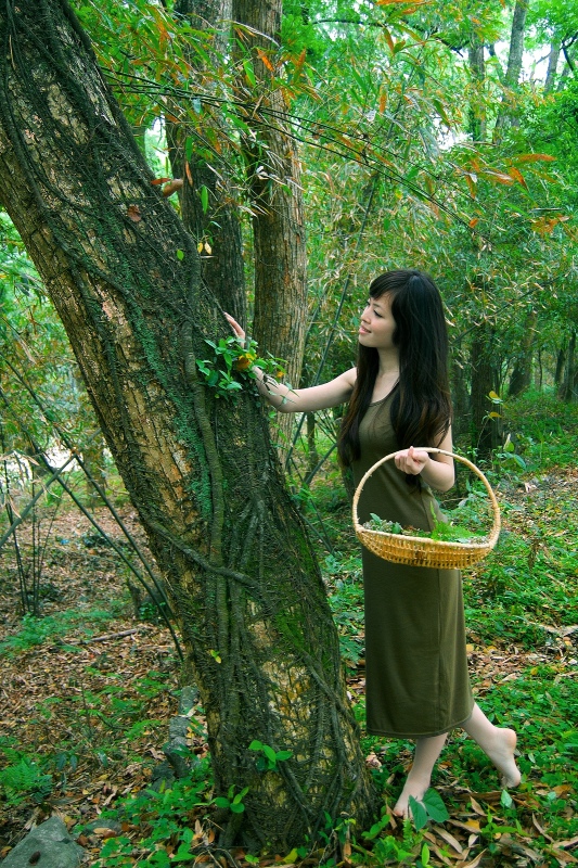 ALICE的世界104 / 作者:私想者 / 帖子ID:16388