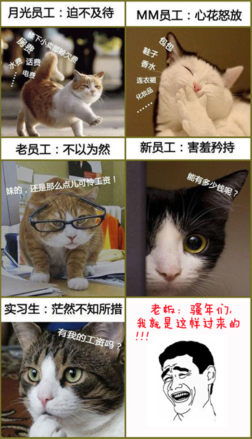喵星人演绎上班族领工资时。。尼码太真实了723 / 作者:星想事成 / 帖子ID:16413