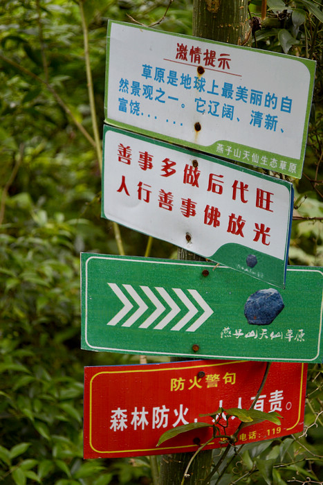 2012立夏、燕子山。发图完毕。84--110楼更新。928 / 作者:講不醜 / 帖子ID:16444