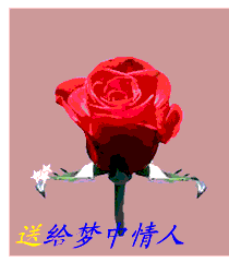 重发，鲜花多多的哦643 / 作者:梦里探花 / 帖子ID:16449