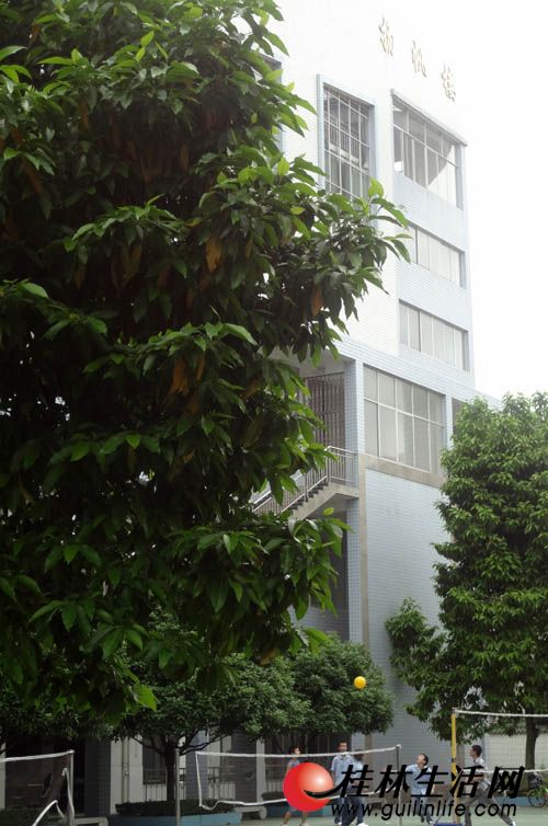 新闻调查：恭城中学的“禁演”风波(图)998 / 作者:瑶族老 / 帖子ID:16564