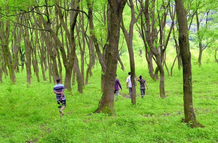 5.20初夏欢乐行 烧烤野炊露营  欢乐活动[恭城平安]251 / 作者:红日叔叔 / 帖子ID:16549