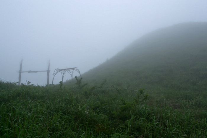 2012立夏、燕子山。发图完毕。84--110楼更新。733 / 作者:講不醜 / 帖子ID:16444