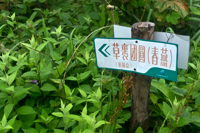 2012立夏、燕子山。发图完毕。84--110楼更新。443 / 作者:講不醜 / 帖子ID:16444
