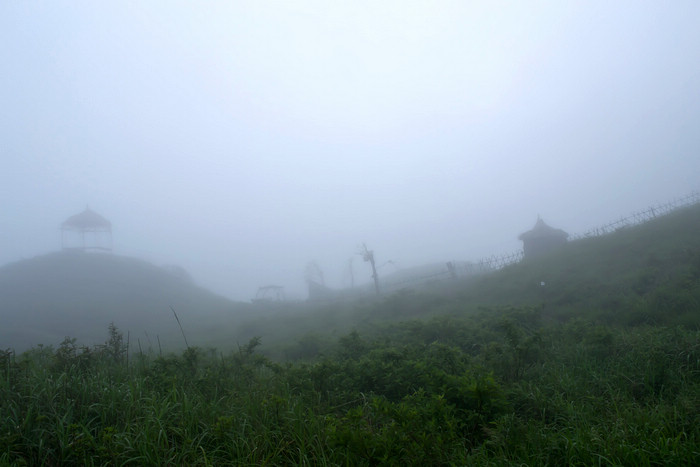 2012立夏、燕子山。发图完毕。84--110楼更新。471 / 作者:講不醜 / 帖子ID:16444
