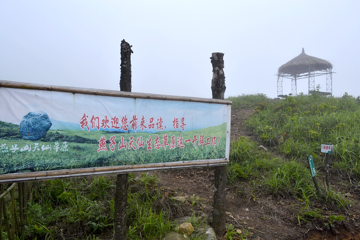 2012立夏、燕子山。发图完毕。84--110楼更新。229 / 作者:講不醜 / 帖子ID:16444