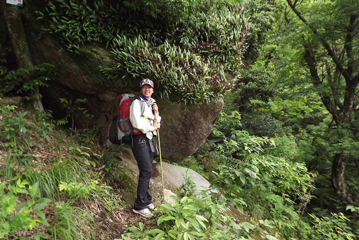 2012立夏、燕子山。发图完毕。84--110楼更新。127 / 作者:講不醜 / 帖子ID:16444