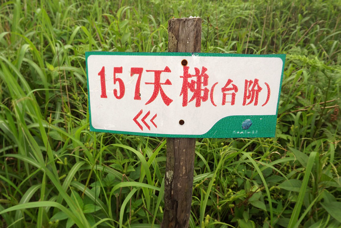 2012立夏、燕子山。发图完毕。84--110楼更新。247 / 作者:講不醜 / 帖子ID:16444