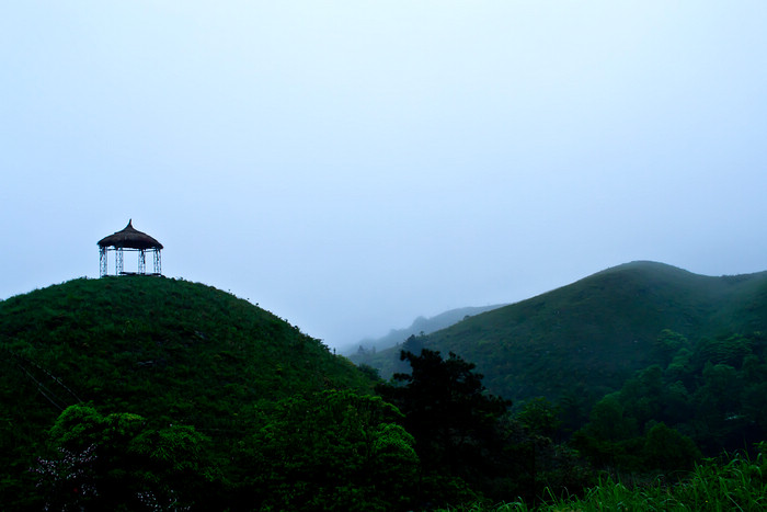 2012立夏、燕子山。发图完毕。84--110楼更新。27 / 作者:講不醜 / 帖子ID:16444