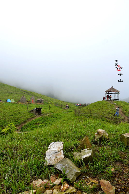 2012立夏、燕子山。发图完毕。84--110楼更新。63 / 作者:講不醜 / 帖子ID:16444