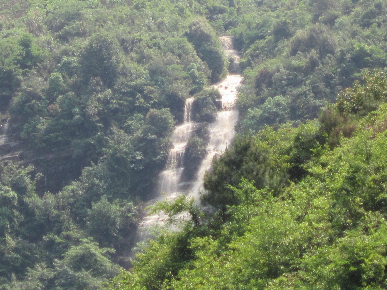 我们黄竹岗水库移民新村培训基地384 / 作者:李成吉 / 帖子ID:16929