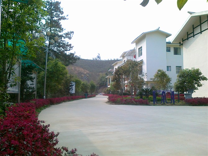 我们黄竹岗水库移民新村培训基地839 / 作者:李成吉 / 帖子ID:16929