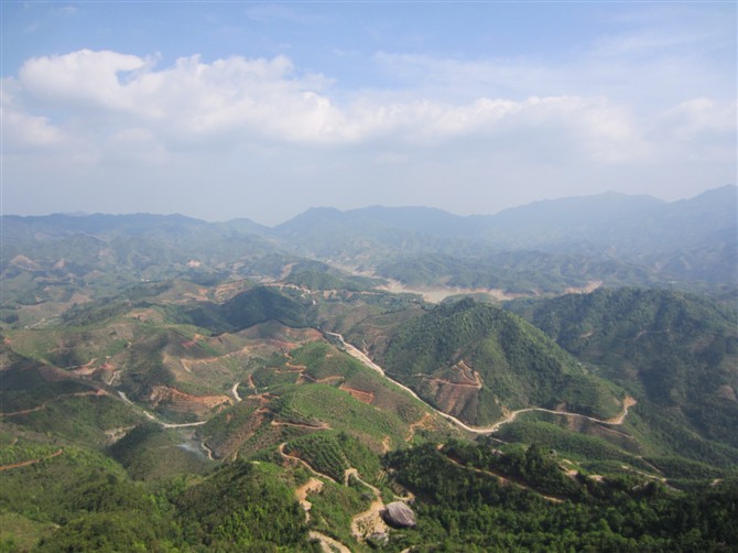 我们黄竹岗村风景和大棚种植309 / 作者:李成吉 / 帖子ID:16931